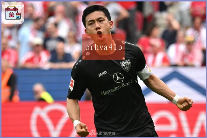 orhva41p