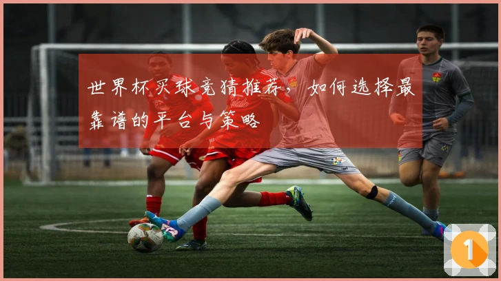 世界杯买球竞猜推荐，如何选择最靠谱的平台与策略
