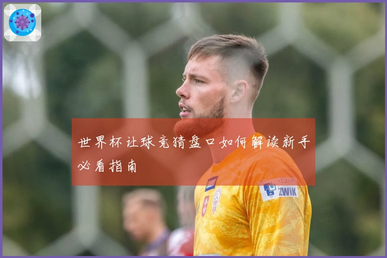 世界杯让球竞猜盘口如何解读新手必看指南