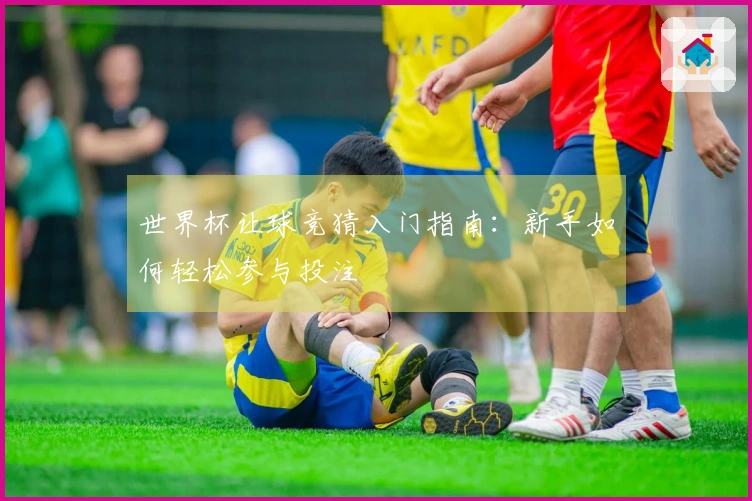 世界杯让球竞猜入门指南：新手如何轻松参与投注
