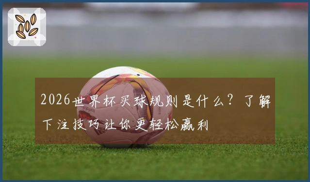 2026世界杯买球规则是什么？了解下注技巧让你更轻松赢利