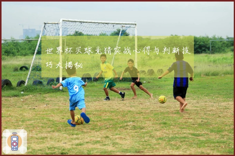 世界杯买球竞猜实战心得与判断技巧大揭秘