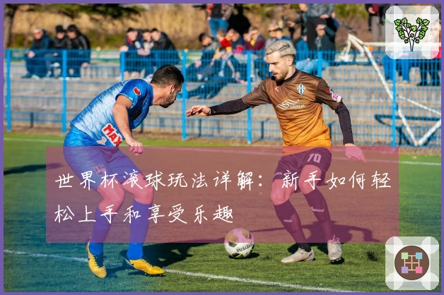世界杯滚球玩法详解：新手如何轻松上手和享受乐趣