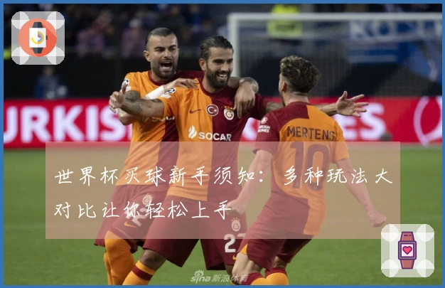 世界杯买球新手须知：多种玩法大对比让你轻松上手