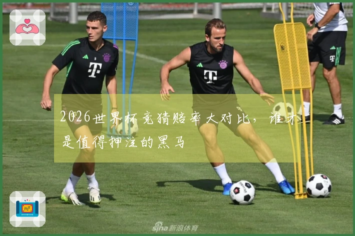 2026世界杯竞猜赔率大对比，谁才是值得押注的黑马