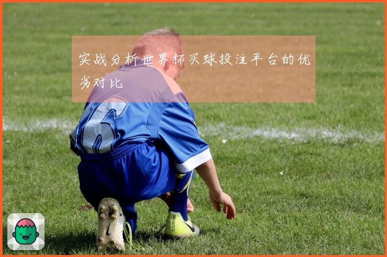 实战分析世界杯买球投注平台的优劣对比